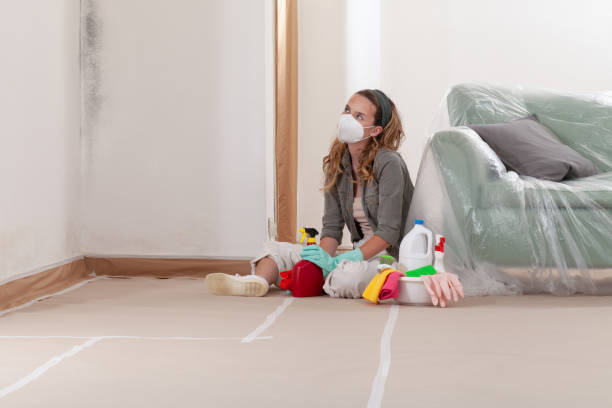 Reliable Crawl Space Mold Remediation contractor in Wellesley, MA by Mold Remediation HQ